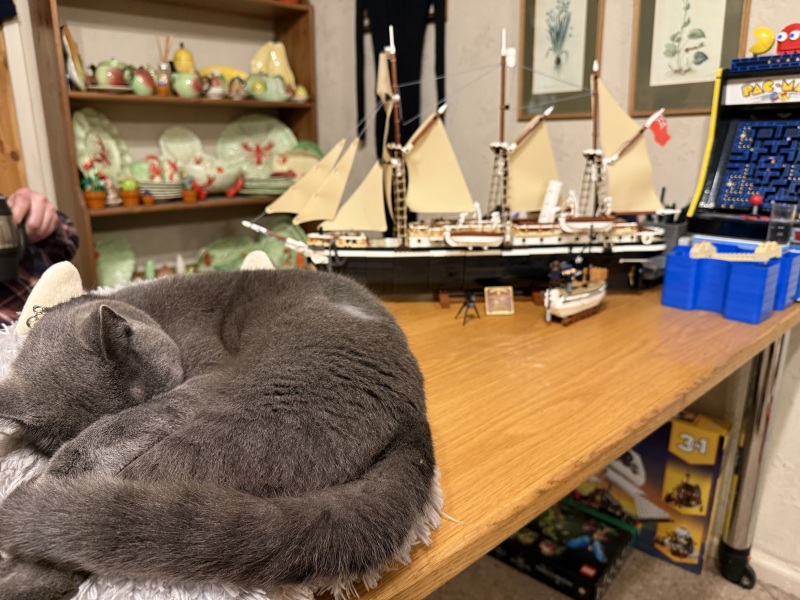 Ring Out, Wild Bells! As 2025 approaches, the Excellent Cats raise their game with a discussion on Tennyson's poetry