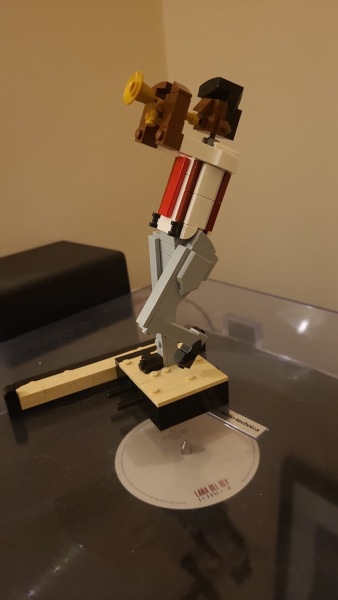 To show me your Lego collection?