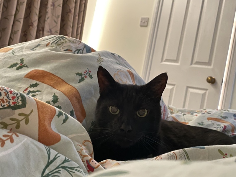 Thread 14 Starmer - The Starmeristas Strike Back