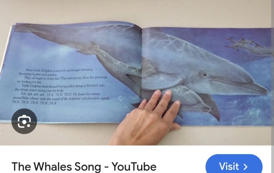 I'm going to try this again, does anyone know what this book from my childhood is?