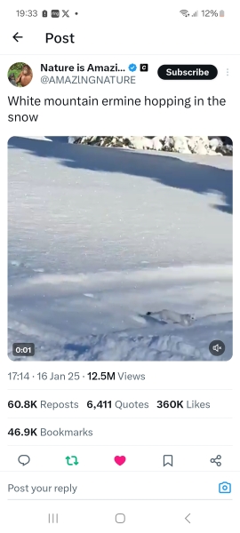 Ladies and Ladies: The Bluestocking is open: again