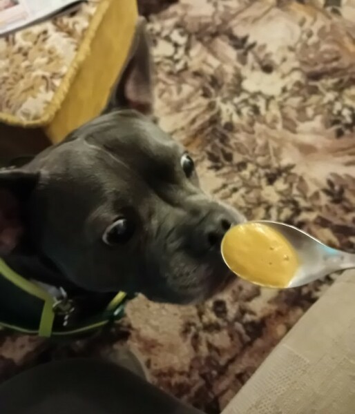 The Continuing Support Thread for Anyone Trying to Lead an Alcohol-Free Life Winter 2024