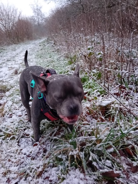 The Continuing Support Thread for Anyone Trying to Lead an Alcohol-Free Life Winter 2024