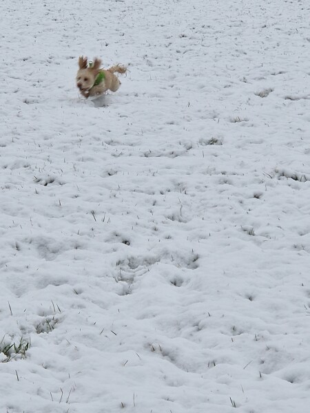 So where’s all this snow we were warned about