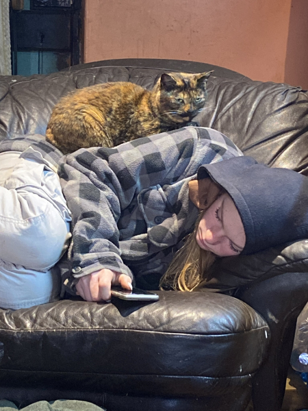 Anyone got a tortie?
