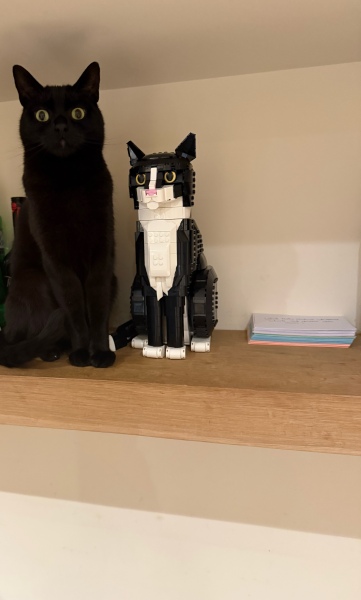To show me your Lego collection?