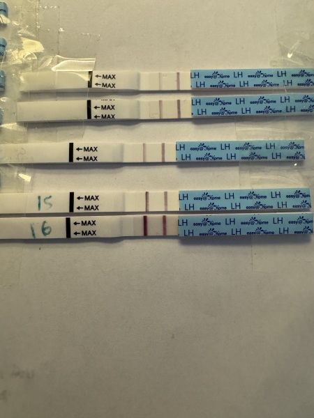 February TTC Support Group