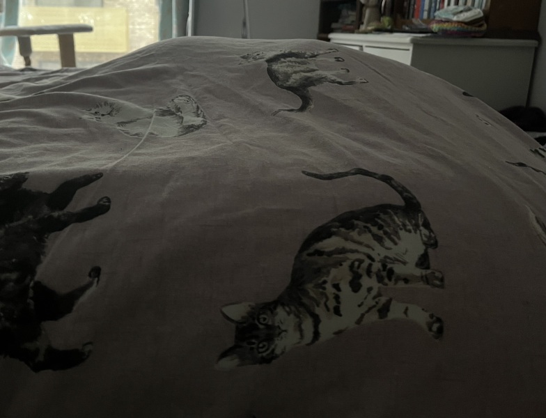 Ring Out, Wild Bells! As 2025 approaches, the Excellent Cats raise their game with a discussion on Tennyson's poetry