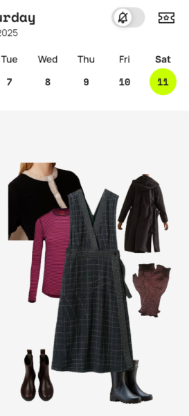 No/low buy 2025 shop from wardrobe