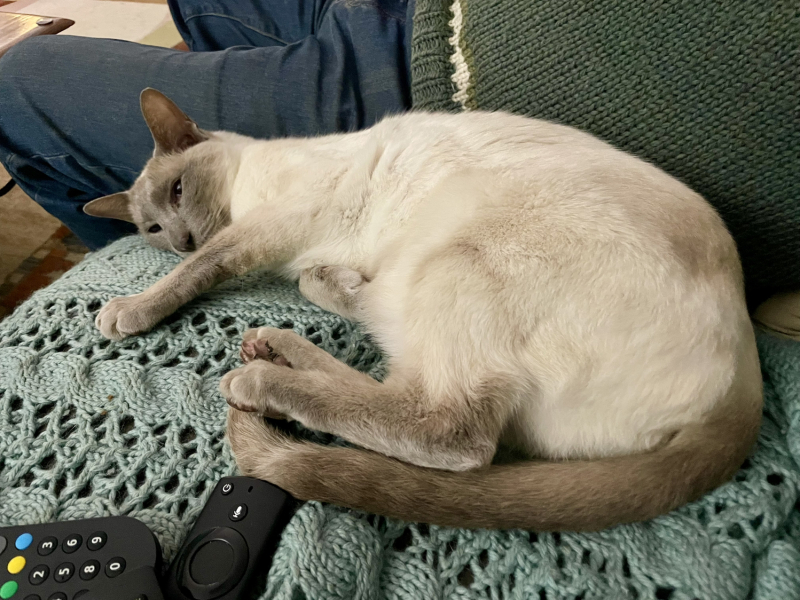 Thread 16 Starmer - Mad World