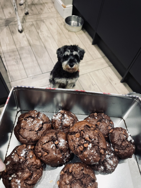 ⭐️All Things Aga Related⭐️