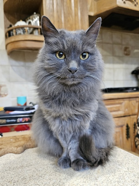 Thread 14 Starmer - The Starmeristas Strike Back