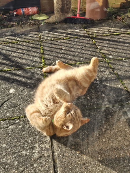 Thread 17: Starmer: Treading softly.