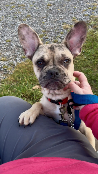 Thread 16 Starmer - Mad World