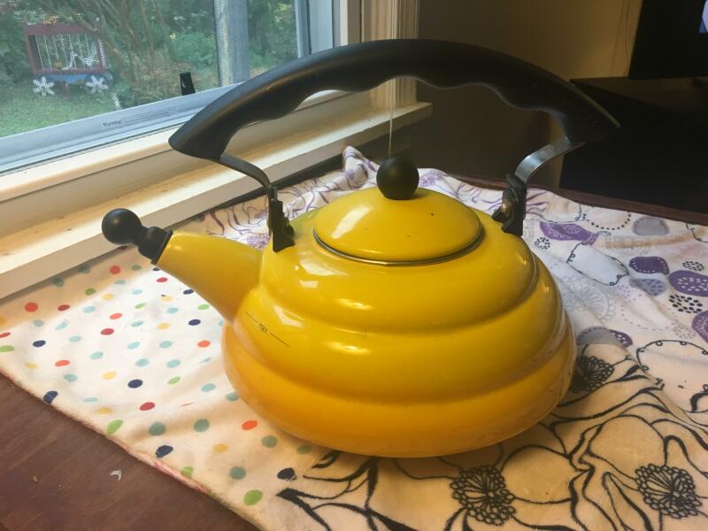 Show Me Your Traditional Stove Top Whistling Kettle