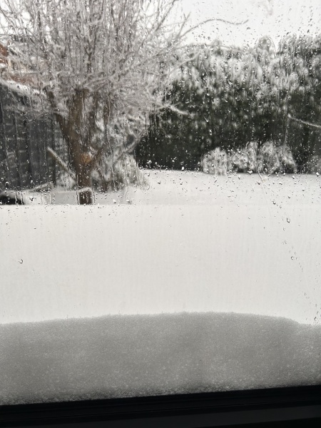 Has anyone got snow yet?