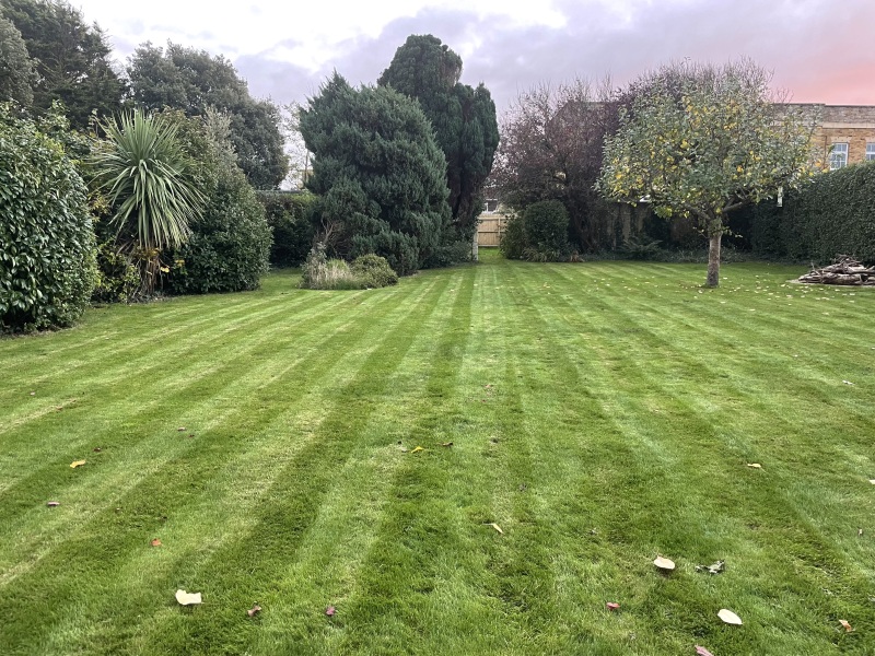 What do gardening companies spray for really thick lush lawns?