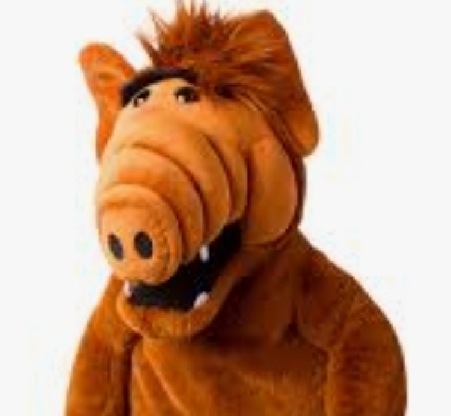 What does the name Alfie make you think of?