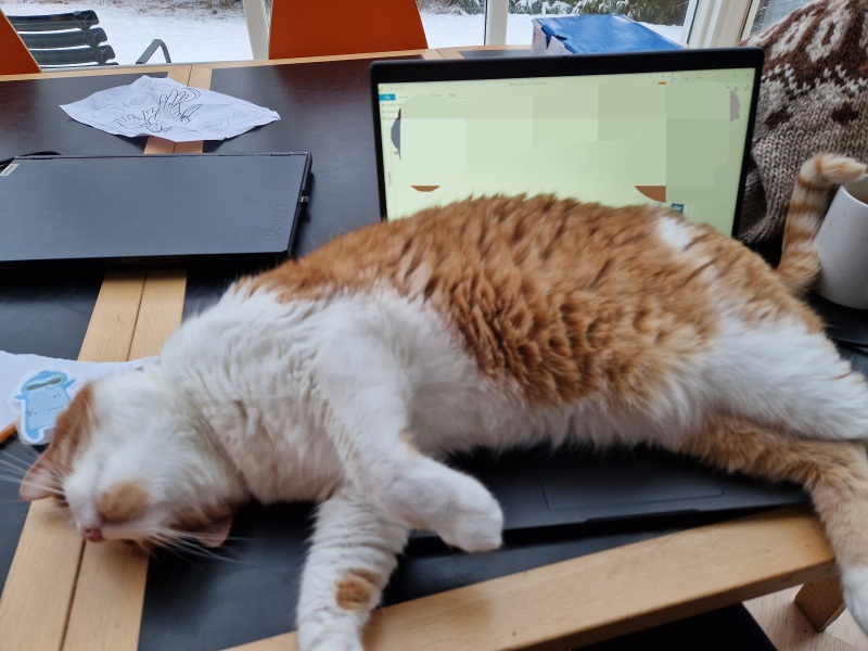 Ring Out, Wild Bells! As 2025 approaches, the Excellent Cats raise their game with a discussion on Tennyson's poetry