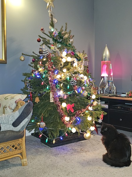 Ring Out, Wild Bells! As 2025 approaches, the Excellent Cats raise their game with a discussion on Tennyson's poetry