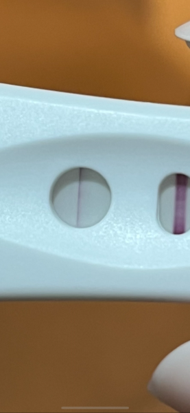 Positive pregnancy test??