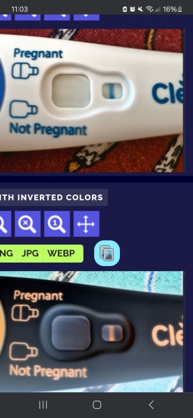 2DPO