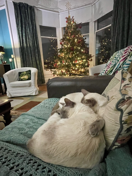 Thread 14 Starmer - The Starmeristas Strike Back