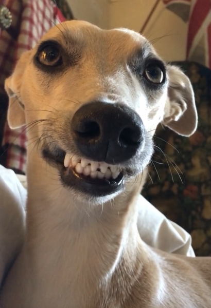 To think the most tedious everyday 'chore' is...