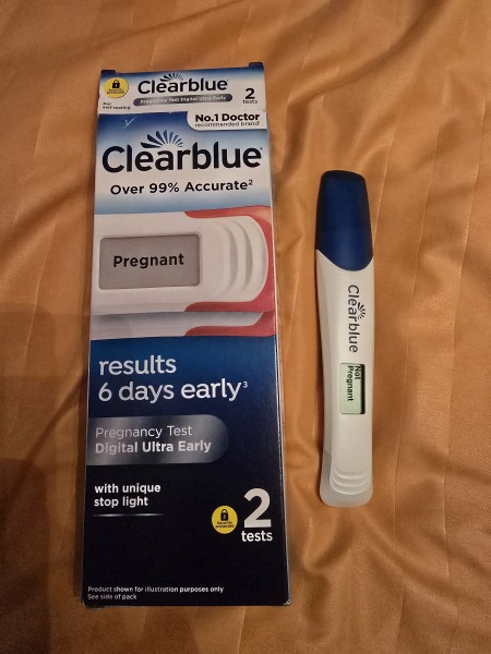 Pregnant or Not Pregant