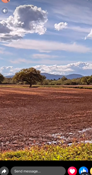 Botwatch 86!!! the continuing saga of MLM. When 99.6% of people joining MLM are destined to lose money is that an opportunity or a scam?