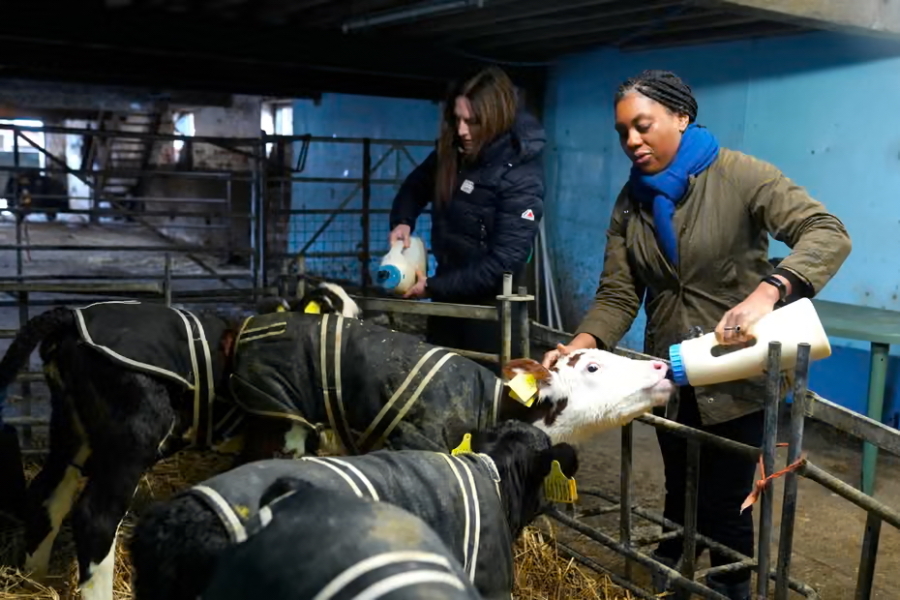 Thread 17: Starmer: Treading softly.