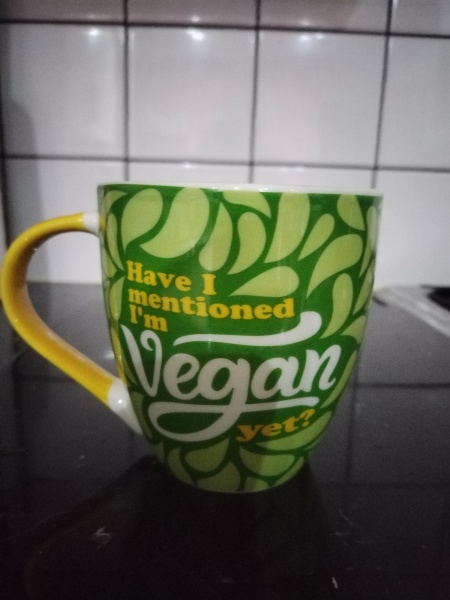 Why do so many people criticise vegans?