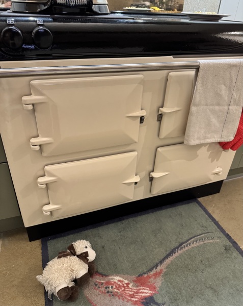 ⭐️All Things Aga Related⭐️