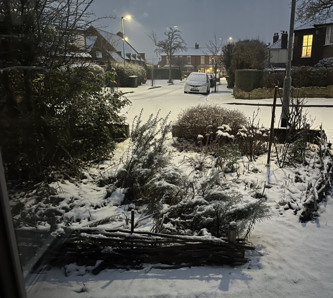 New Year, new weather thread