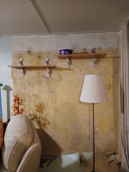 Is this mold?