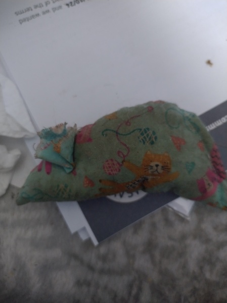 Ring Out, Wild Bells! As 2025 approaches, the Excellent Cats raise their game with a discussion on Tennyson's poetry