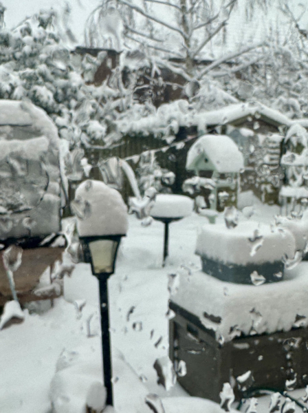 So where’s all this snow we were warned about
