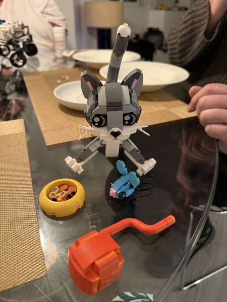To show me your Lego collection?