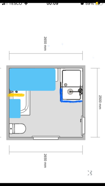 Critique family bathroom layout