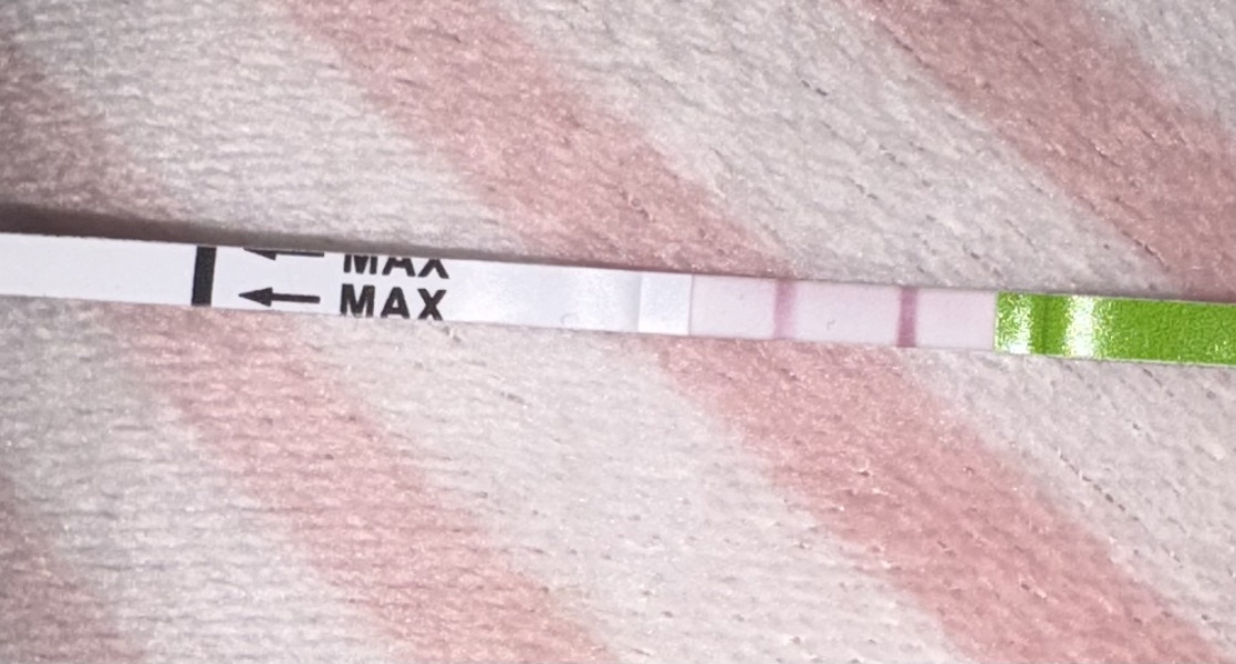 Ovulation test help!