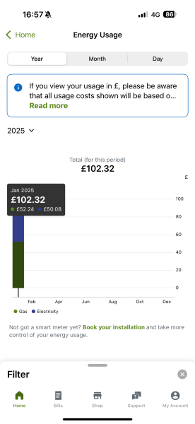 Hiw much was  your January gas and elec bill?