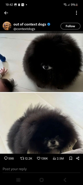 Ladies and Ladies: The Bluestocking is open: again