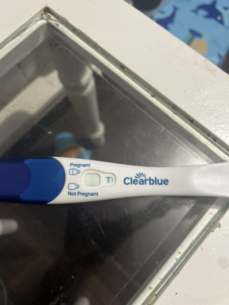 January TTC Support Group 💚