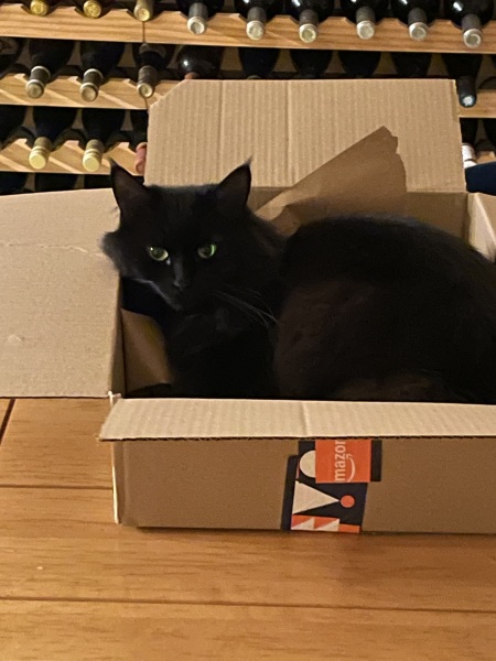 Lap dances, strippers and punch-ups - the Excellent Cats arrange a stag party