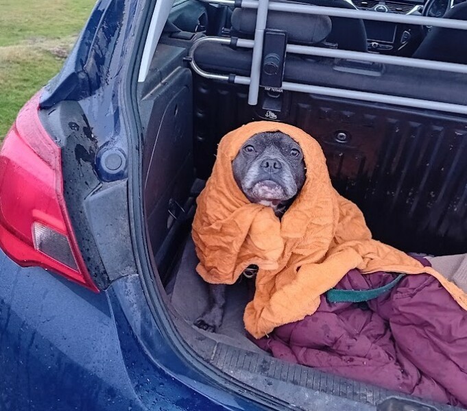 The Continuing Support Thread for Anyone Trying to Lead an Alcohol-Free Life Spring 2025