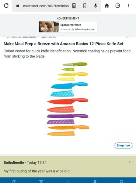 The Bluestocking: the one where AI finally learns what a blackbird is (we hope)