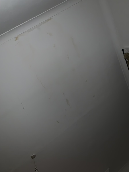 Leak marks suddenly appeared on ceiling. Upper floor flat.