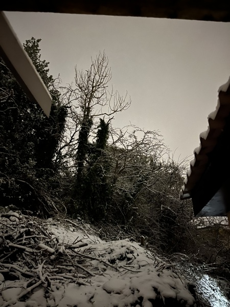 Has anyone got snow yet?