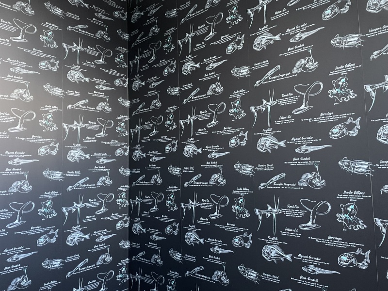 Ho ho ho...here we go round again! Countdown to Christmas 2025, thread 1