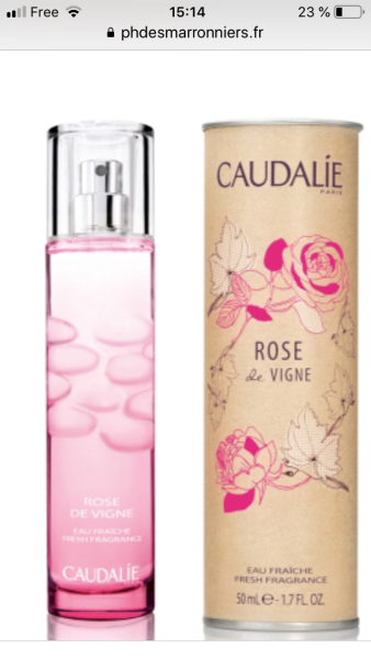 True rose 🌹 perfume on a budget?